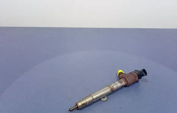 Opel Insignia A Fuel injector 55488616