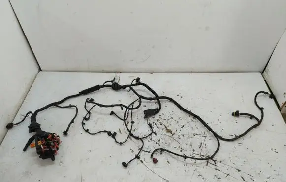 Engine installation wiring loom