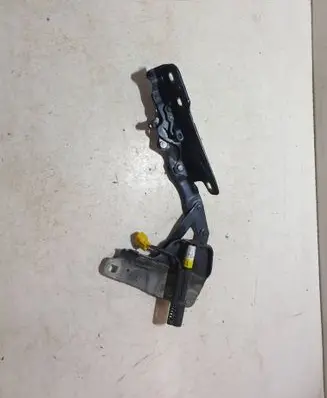 Jaguar XF X260 Engine bonnet/hood hinges GX7316800AE D36XA