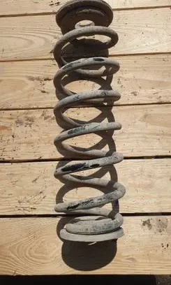 Rear coil spring