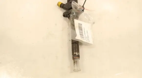 Citroen C4 I Picasso Fuel injector 0445110297