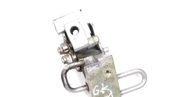 Rear door lower hinge