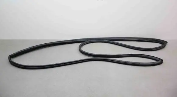 Nissan Juke I F15 Rubber seal front coupe door 141222008 141200222