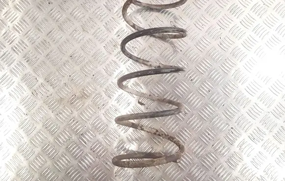 Peugeot 206 Front coil spring