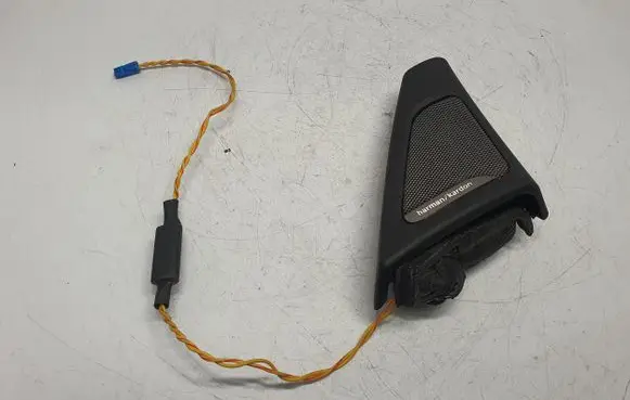 Front door high frequency speaker