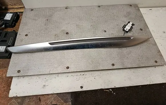 Renault Mégane Renault Sport III (IV Based) Trim molding 969301856R