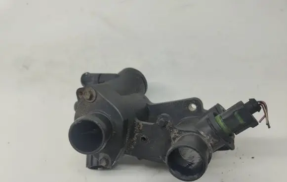 Thermostat/thermostat housing