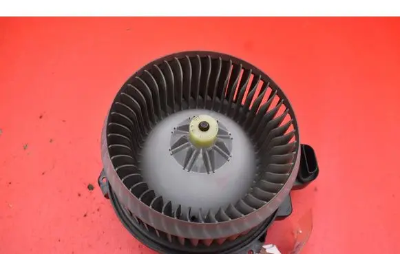 Heater fan/blower