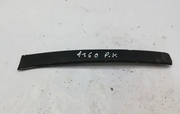 Hyundai Santa Fe Front door trim (molding) NOCODE