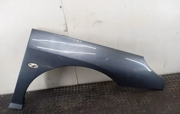 Peugeot 407 Fender 