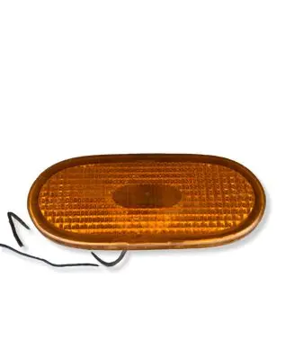 Volkswagen Crafter Front fender indicator light A0038202956