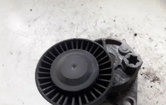 KIA Carnival Generator/alternator belt tensioner 233583