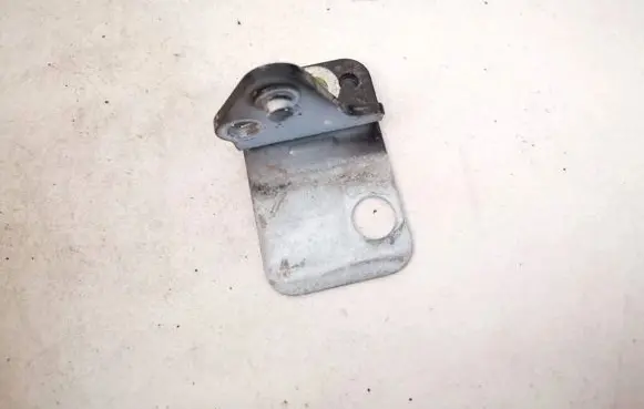 Rear door lower hinge