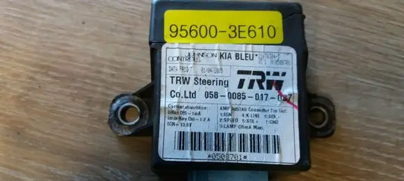 KIA Sorento Other control units/modules 956003E610
