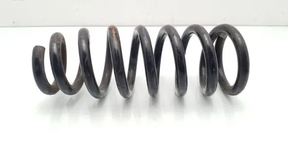 Mitsubishi Pajero Front coil spring