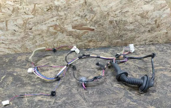 Front door wiring loom