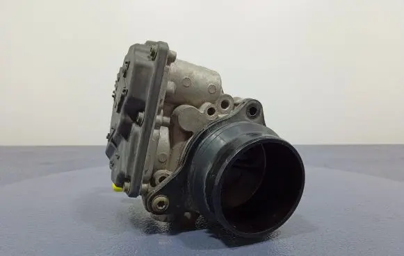 Throttle body valve