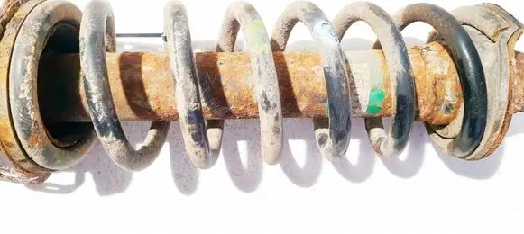 Rear coil spring