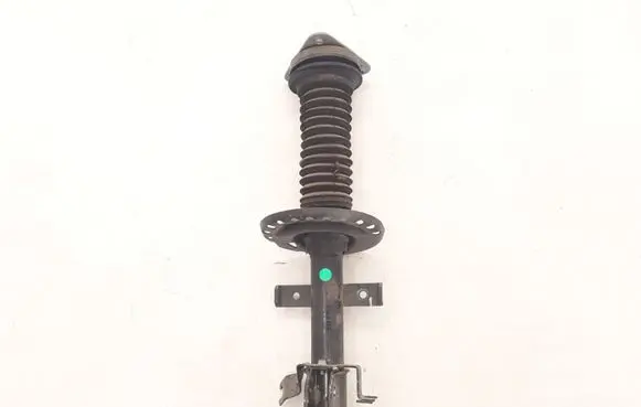 Renault Zoe Front shock absorber/damper 543027411R