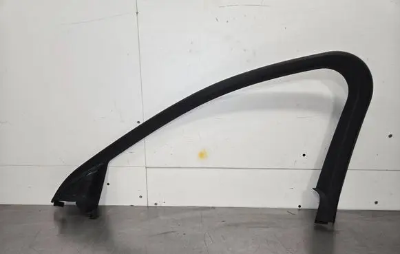 Other front door trim element