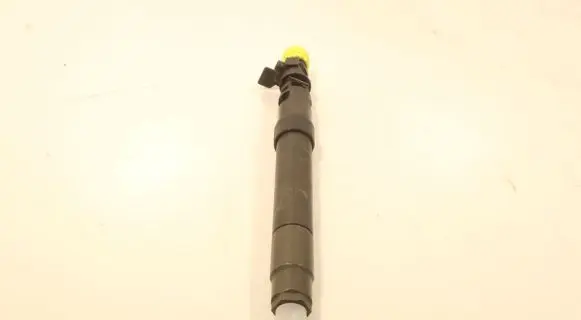 Citroen C4 Grand Picasso Fuel injector 9686191080