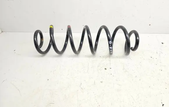 Rear coil spring