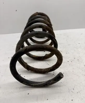 Rear coil spring