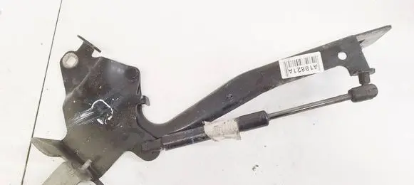 Renault Scenic III - Grand scenic III Engine bonnet/hood hinges 654000004RL ES71