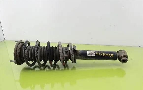 Peugeot 407 Front shock absorber with coil spring