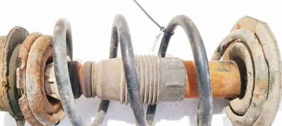 Fiat Punto (188) Front coil spring