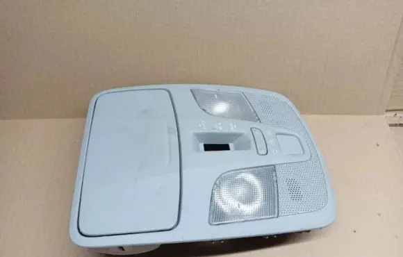Suzuki SX4 S-Cross Rear seat light 3623061MG0