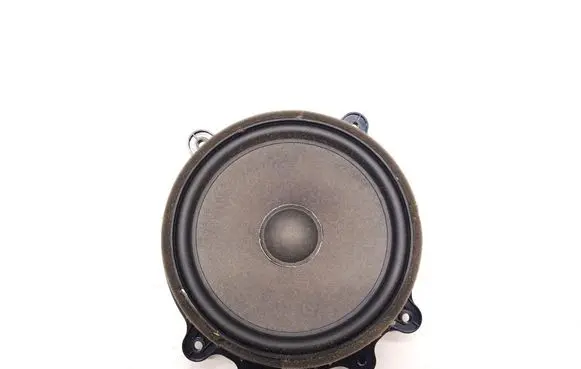 Tesla Model Y Front door speaker 107974400E