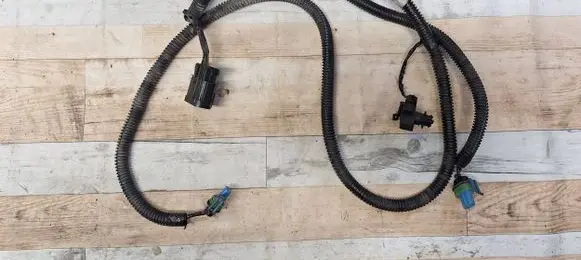 Opel Vectra C Other wiring loom 24419043