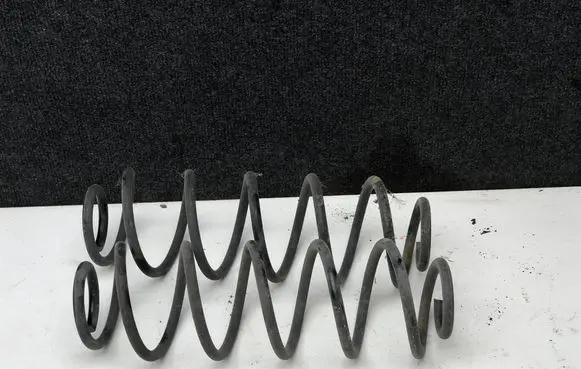 Rear coil spring