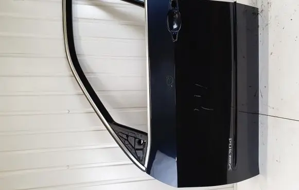 BMW X5 E70 Front door