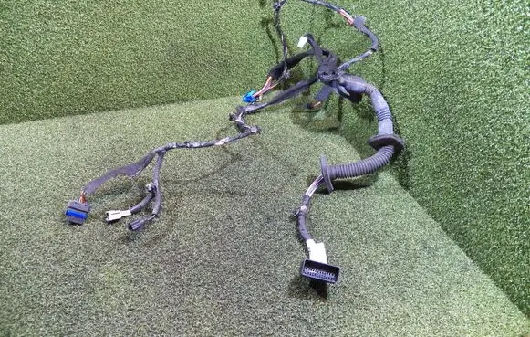 Front door wiring loom