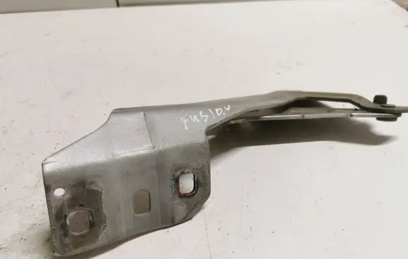 Ford Fusion II Engine bonnet/hood hinges DS73F16800AB