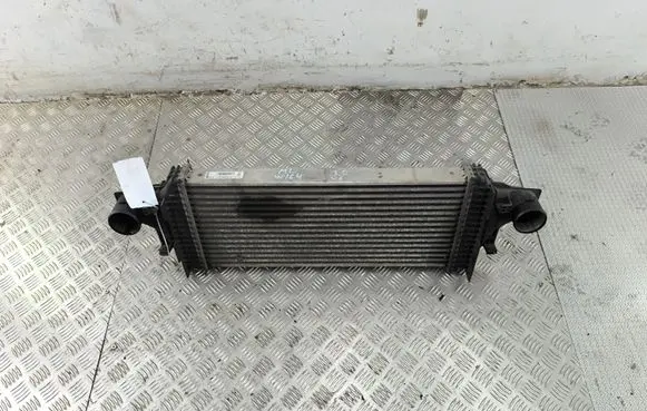 Mercedes-Benz ML W164 Intercooler radiator A2515000000