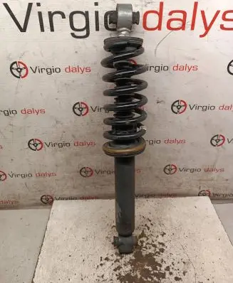 Citroen DS5 Rear shock absorber with coil spring 9805878080 0029077E01 03091000199