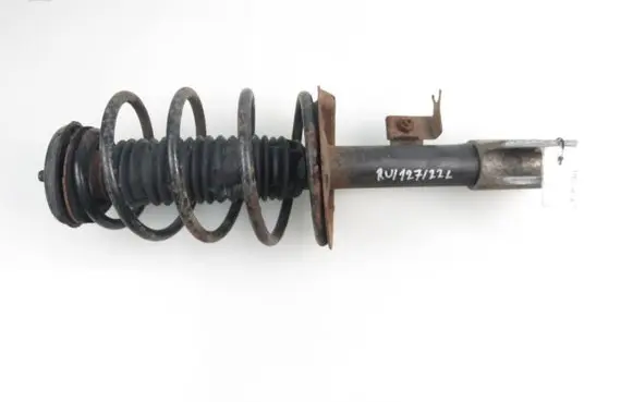 Citroen C4 I Front shock absorber with coil spring