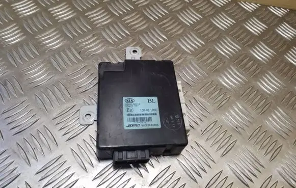 KIA Sorento Other control units/modules 954003E310
