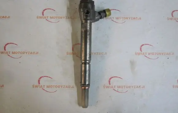 Nissan Bluebird Sylphy II Fuel injector H8200294788