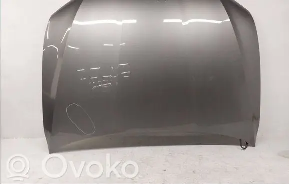 Audi e-tron Engine bonnet/hood 12S04200