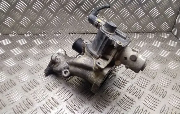 Renault Kangoo I EGR valve 70036805