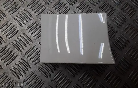 Rear/tail light trim molding