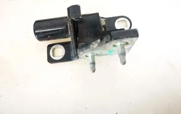 Rear door lower hinge