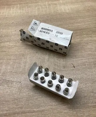Citroen C5 Number plate light 6216E3 10PCSOFBULBS
