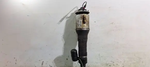 Volkswagen Phaeton Front shock absorber/damper 3D0616040T