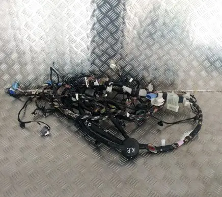 Tesla Model 3 Other wiring loom 106795400E