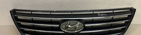 Hyundai Grandeur Front grill 863513L350